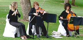 Classical Musicians